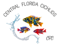 Central Florida Cichlids